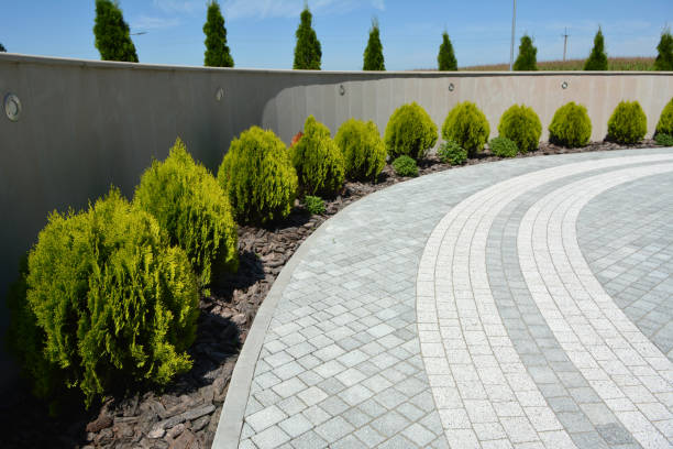 Best Local Driveway Pavers  in Deltana, AK